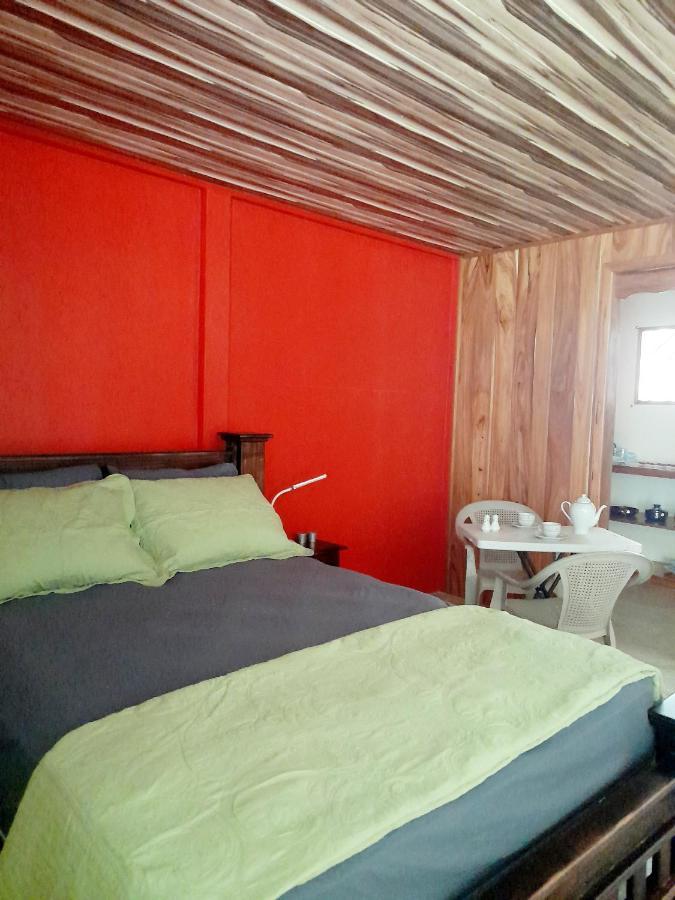 Hostel Osa Tucan Drake Drake Bay Room photo