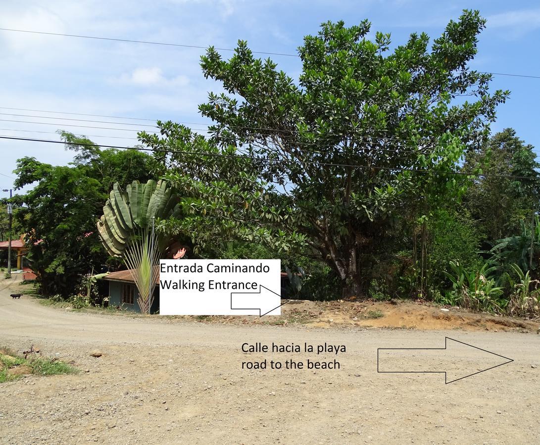 Hostel Osa Tucan Drake Drake Bay Exterior photo