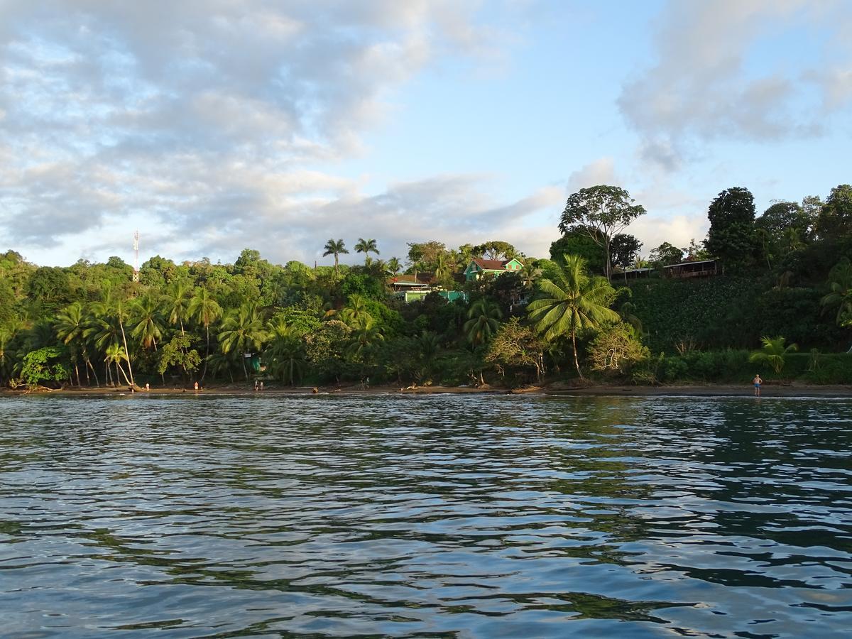 Hostel Osa Tucan Drake Drake Bay Exterior photo