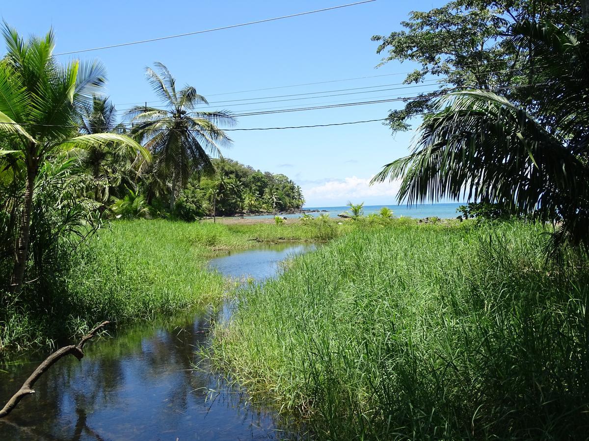 Hostel Osa Tucan Drake Drake Bay Exterior photo