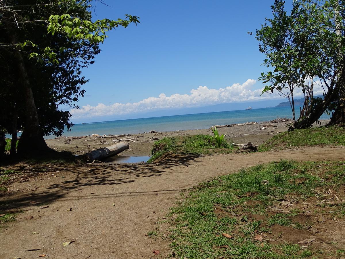 Hostel Osa Tucan Drake Drake Bay Exterior photo