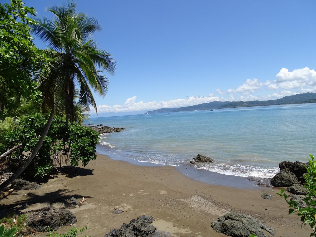 Hostel Osa Tucan Drake Drake Bay Exterior photo
