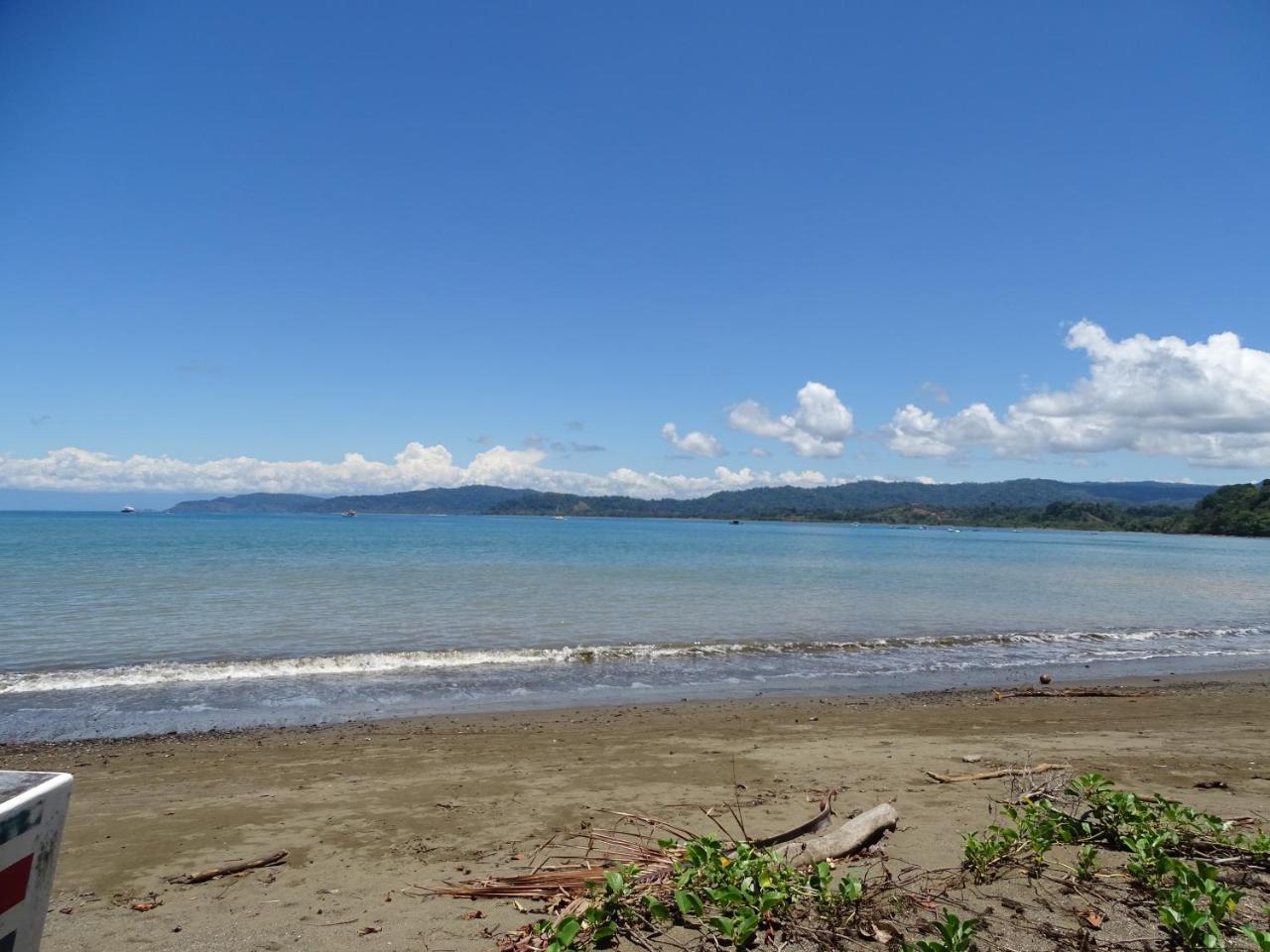 Hostel Osa Tucan Drake Drake Bay Exterior photo