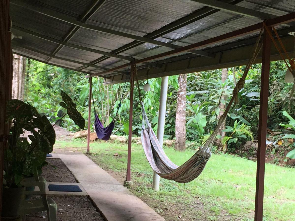 Hostel Osa Tucan Drake Drake Bay Exterior photo